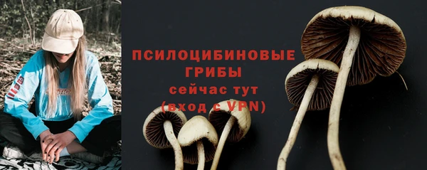 прущая мука Бугульма