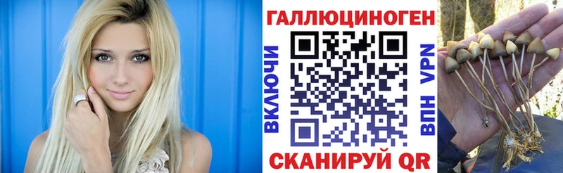 кракен рабочий сайт  Спас-Деменск  Галлюциногенные грибы Psilocybe 